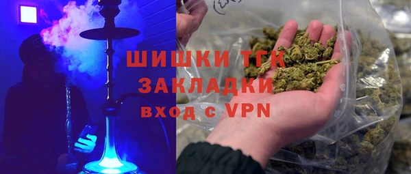 PSILOCYBIN Богданович